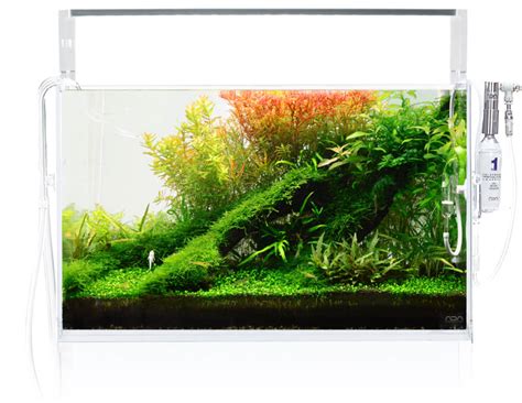 ada aquascape|Nature Aquarium Starting from Zero .